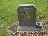 image of grave number 196180